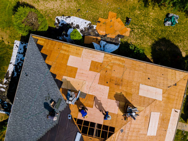 Best Roof Restoration Services  in Scott Af, IL